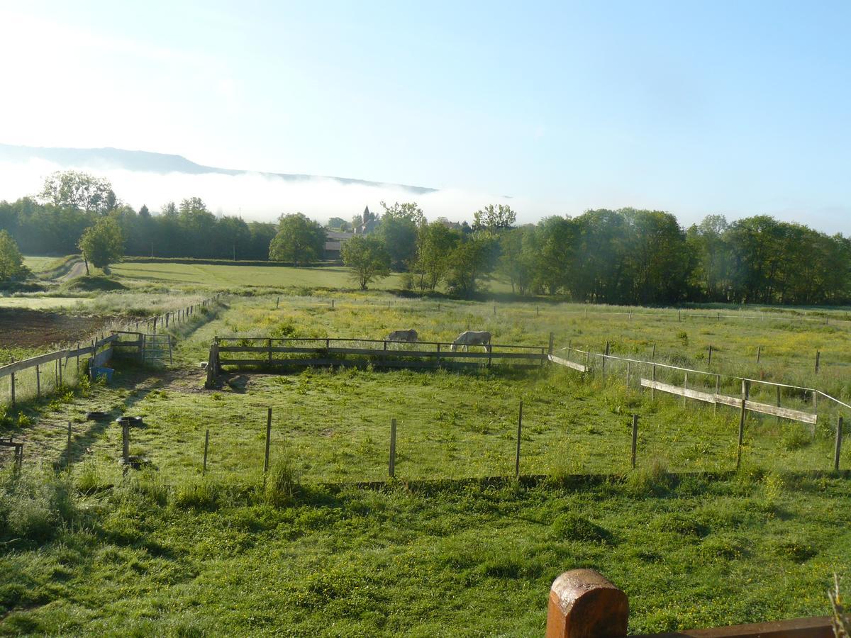Bed and Breakfast Chez Camille Etrigny Esterno foto